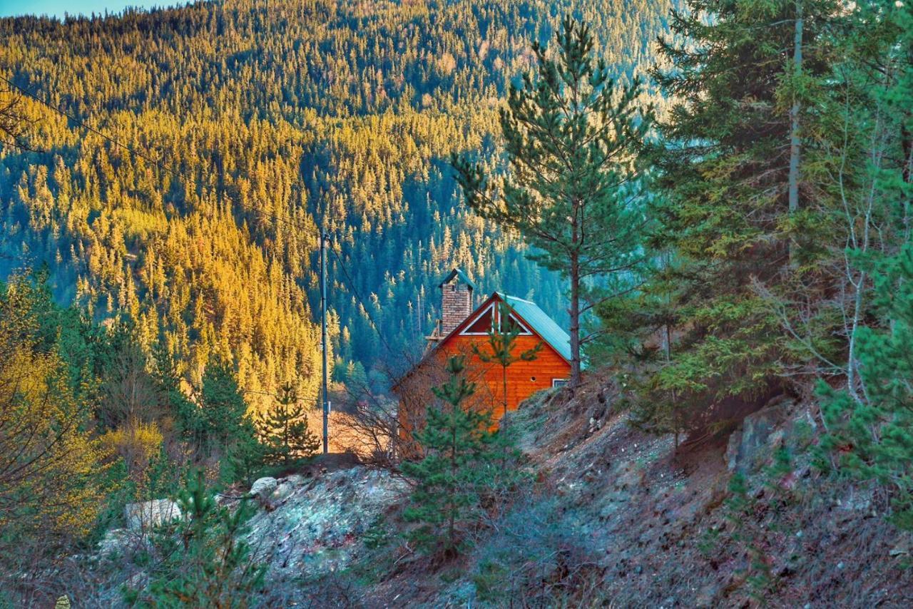 Cozy Cottage Feel Free Continental Didi Ateni Zewnętrze zdjęcie